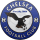 Berekum Chelsea crest