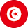 Tunisia (W) crest