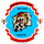 Medina United crest