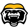 Brampton Honey Badgers
