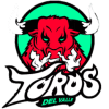 Toros del Valle