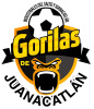 Gorilas de Juanacatlán