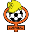 Deportes Cobresal