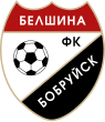 Belshina Bobruisk