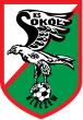 Sokół Kleczew