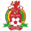 Briton Ferry Llansawel AFC
