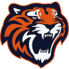 Tigres de Quintana Roo
