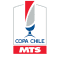 US Open Cup