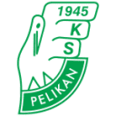 Pelikan Lowicz