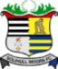 From team logo