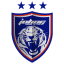From team logo