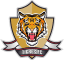 To team logo
