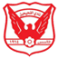 From team logo