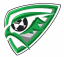 From team logo