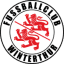 To team logo