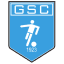 From team logo