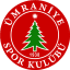 To team logo