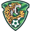 From team logo