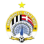 From team logo
