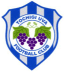To team logo