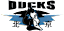 From team logo