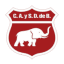 From team logo