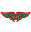 To team logo