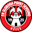 To team logo