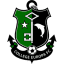From team logo