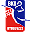 From team logo