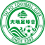 From team logo