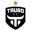 From team logo