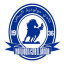 From team logo