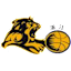 From team logo