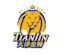 From team logo