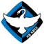 From team logo