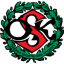 To team logo