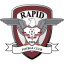 From team logo