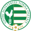 From team logo