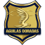 From team logo