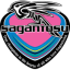 From team logo