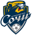 From team logo