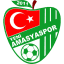 From team logo