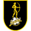 From team logo