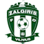 From team logo