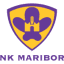 From team logo
