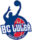 From team logo