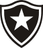 From team logo