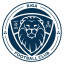 From team logo