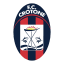 From team logo
